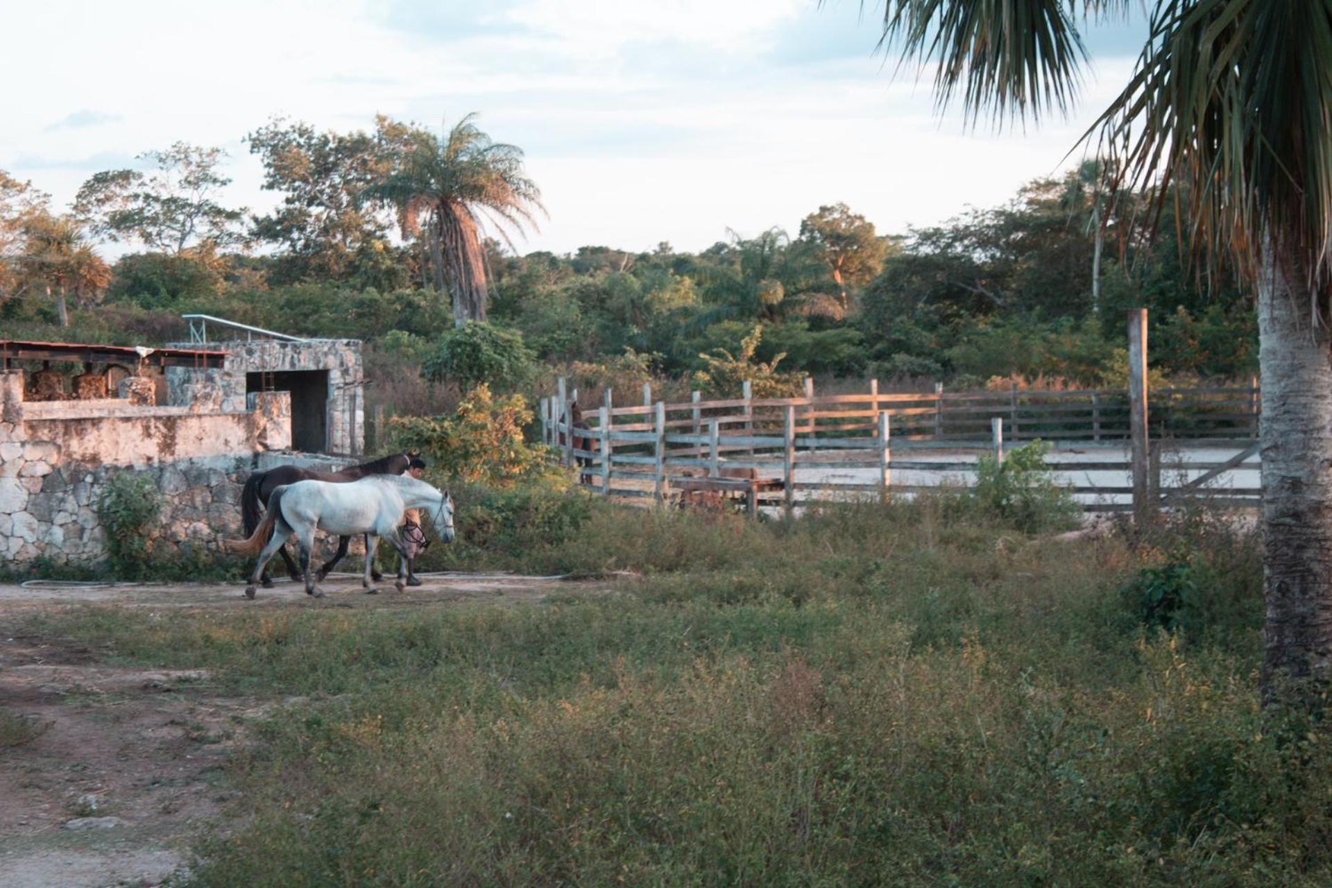 Casitas At Rancho Kuxtal Villa Tizimín Exterior photo